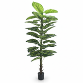 Artificial Graceful Watermelon Leaf Trunk Plant - 5.5 ft (160 cm)